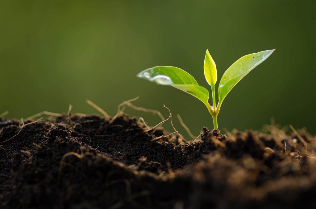 croda-sustainability-environmental