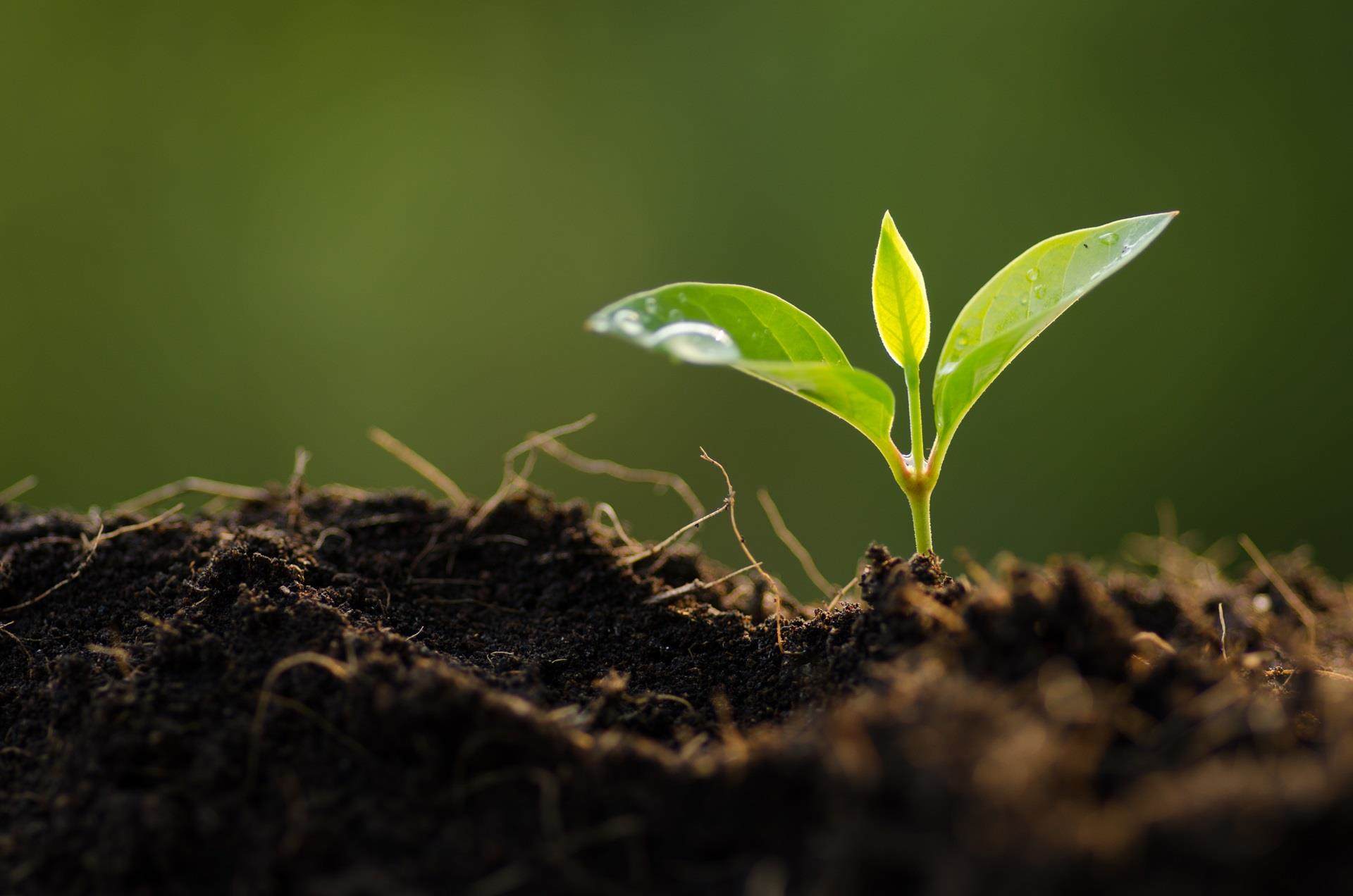 croda-sustainability-environmental
