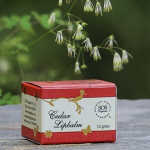 Cedar lipbalm (12 gram)