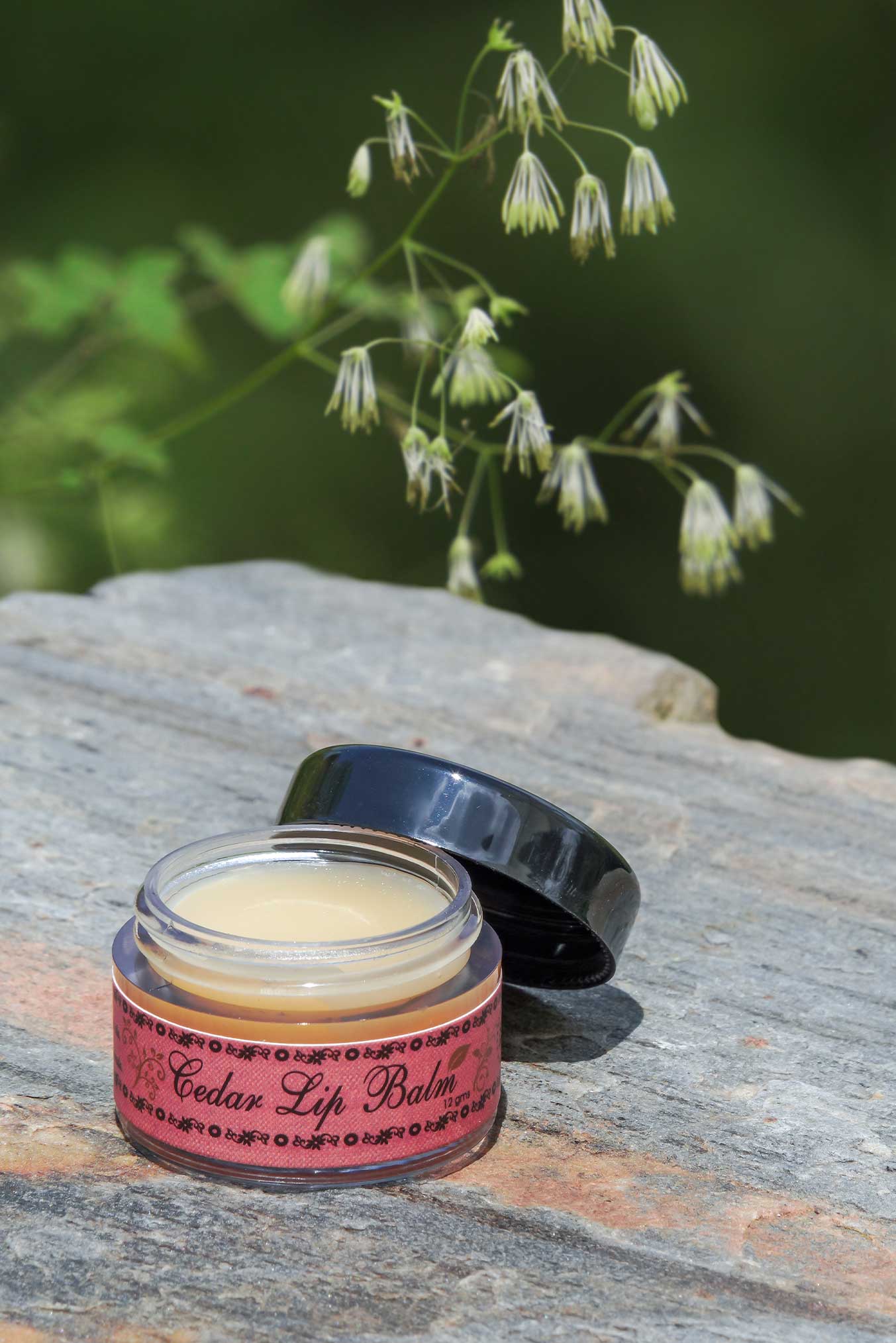 Cedar lipbalm (12 gram)