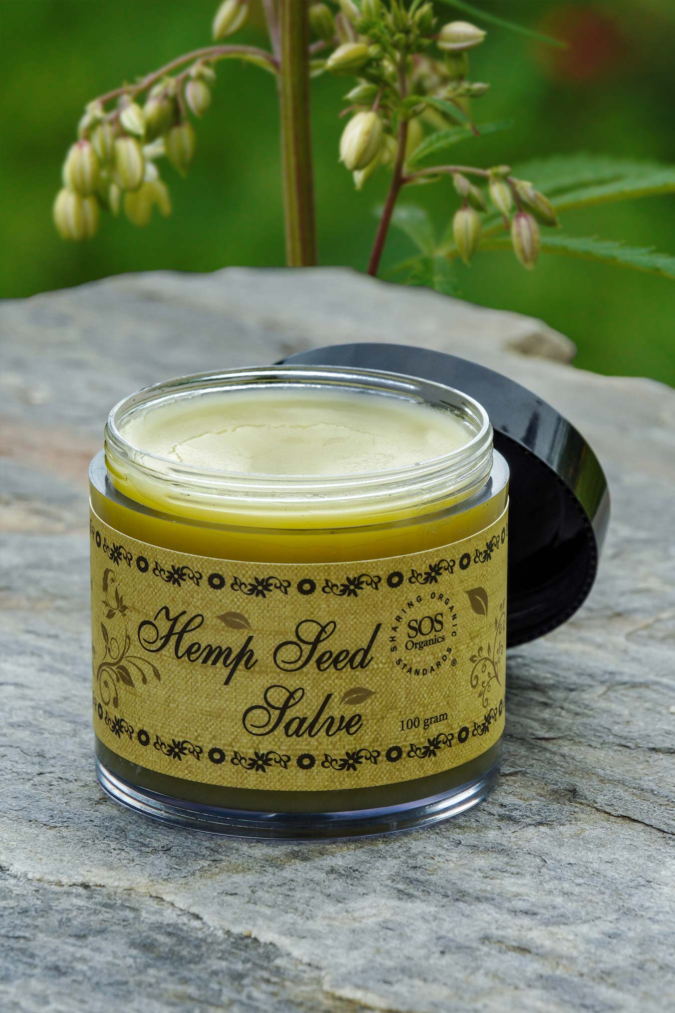 Hemp Seed Salve (100 grams)