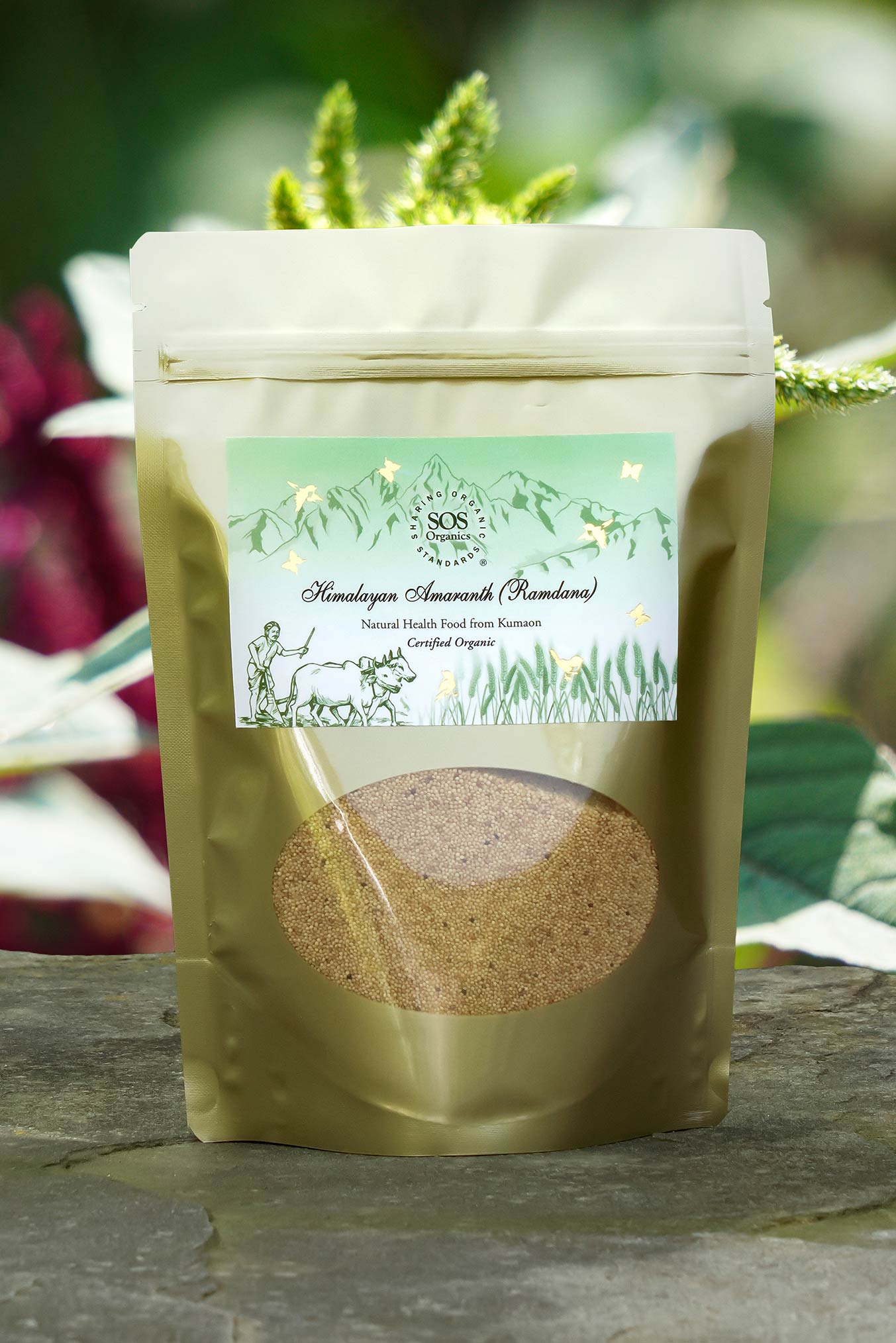 Himalayan Amaranth (Ramdana) - Certified Organic