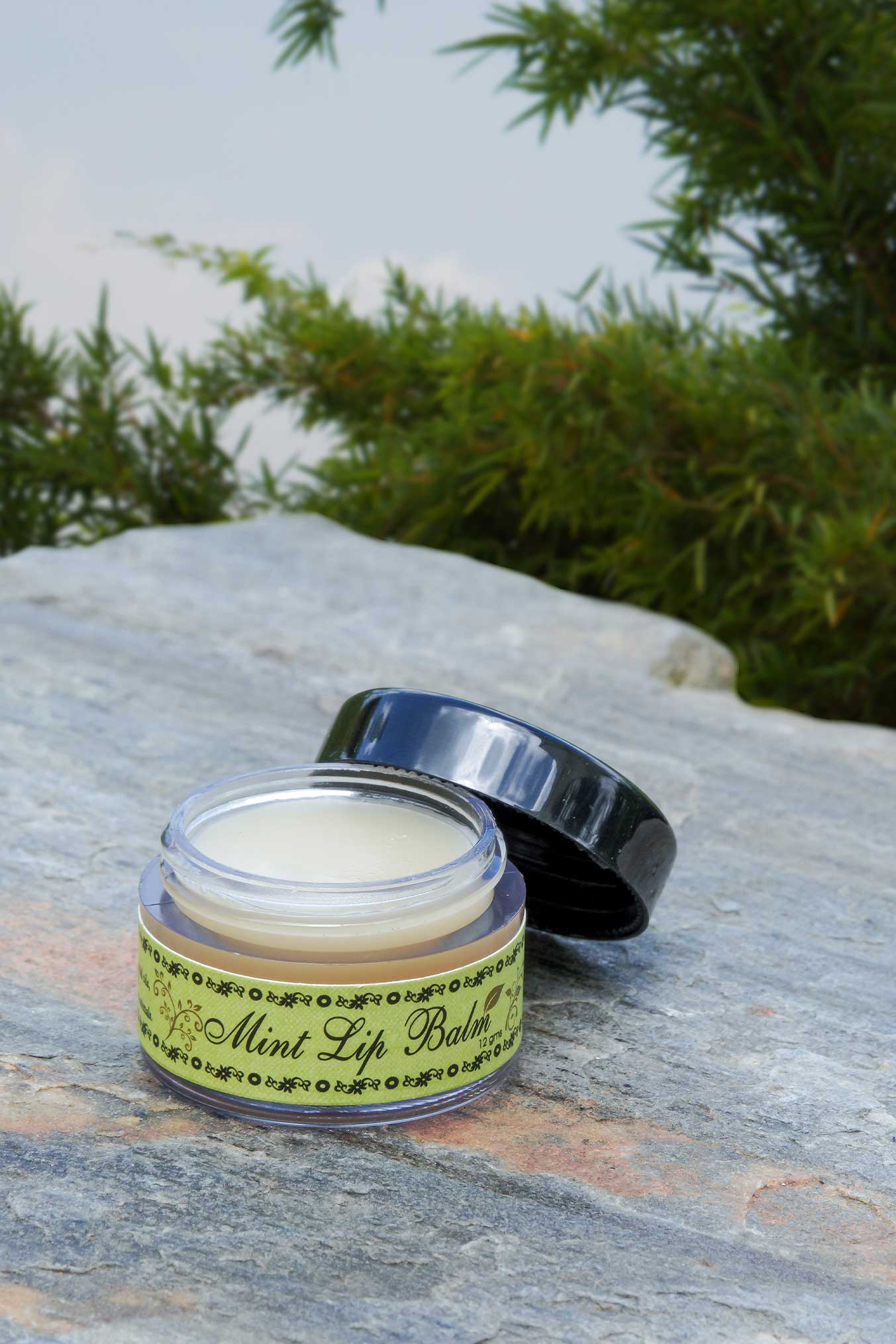 Mint lipbalm (12 gram)