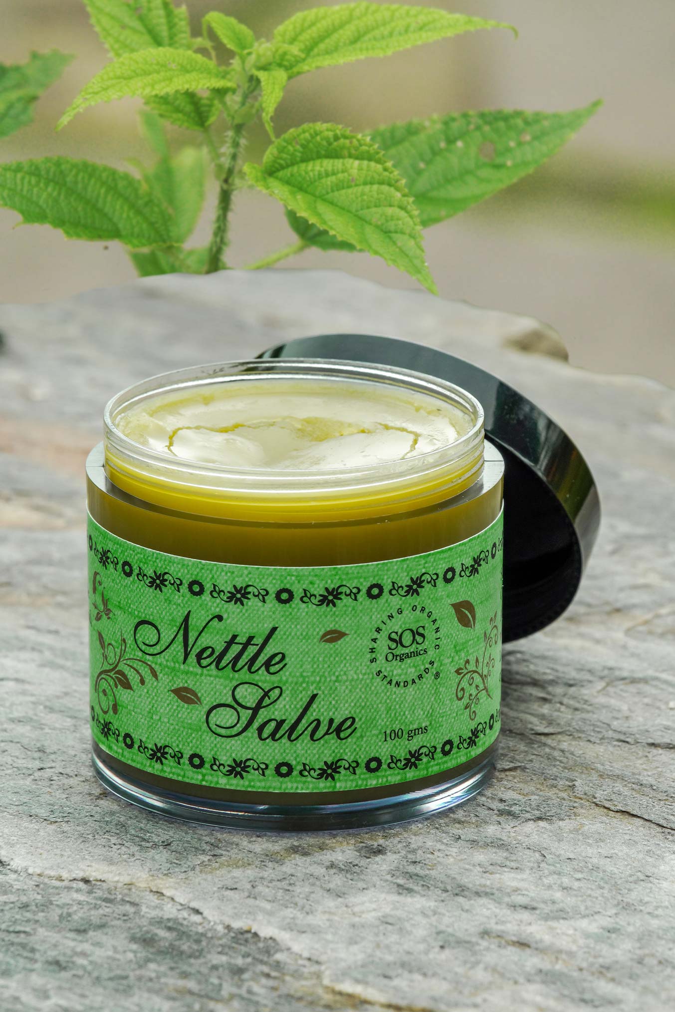 Himalayan nettle salve (100 gram)