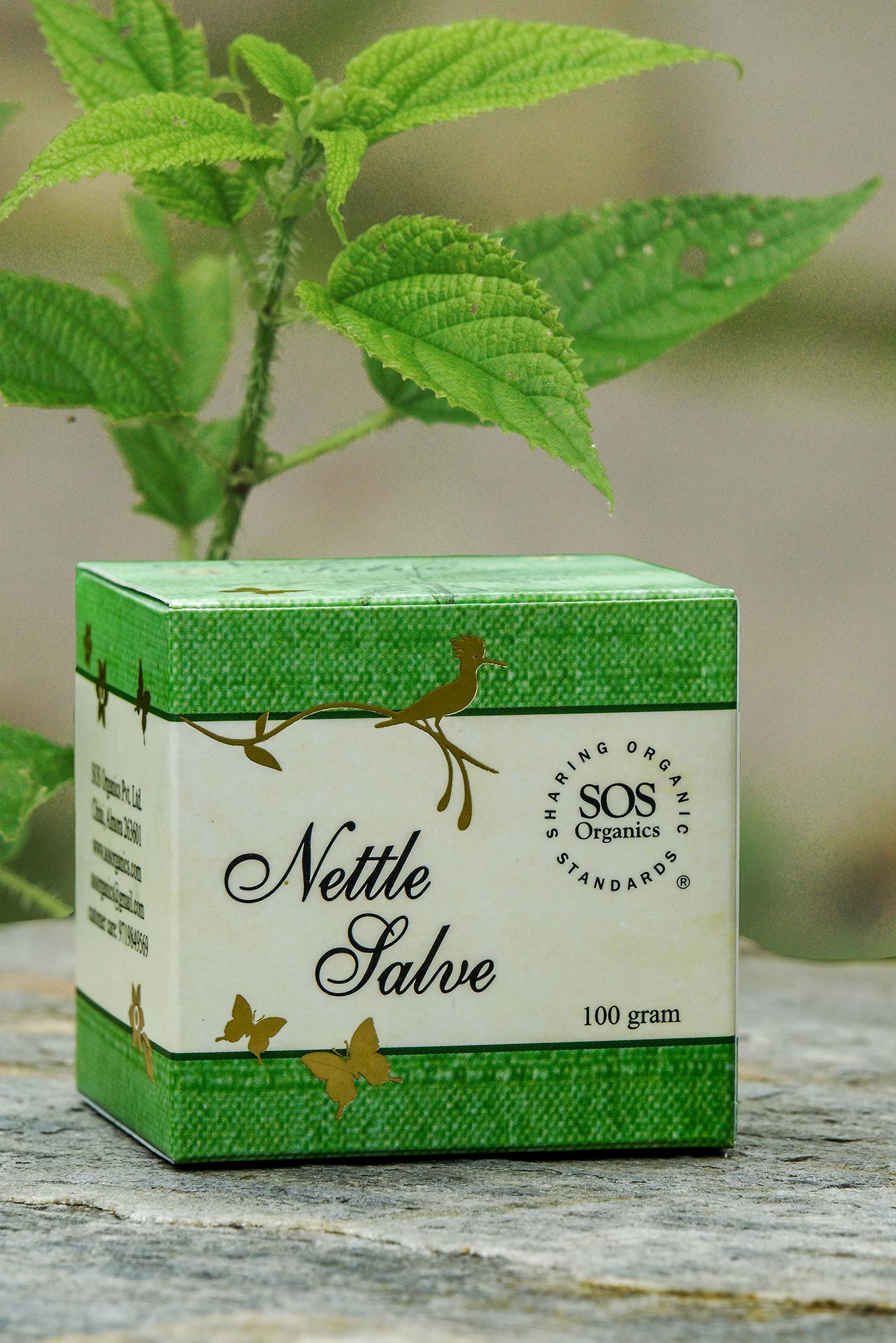 Nettle Salve