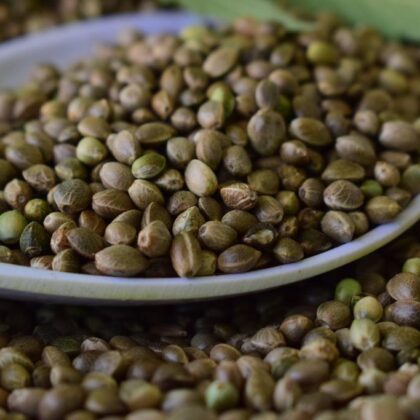 1 KG Hemp Seed